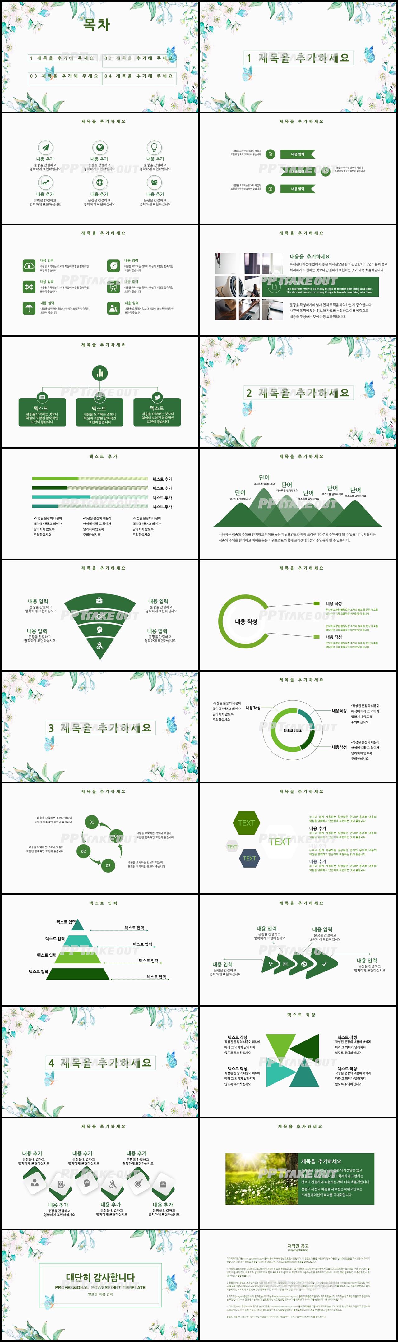 화초, 동식물 그린색 단정한 프레젠테이션 피피티양식 만들기 상세보기