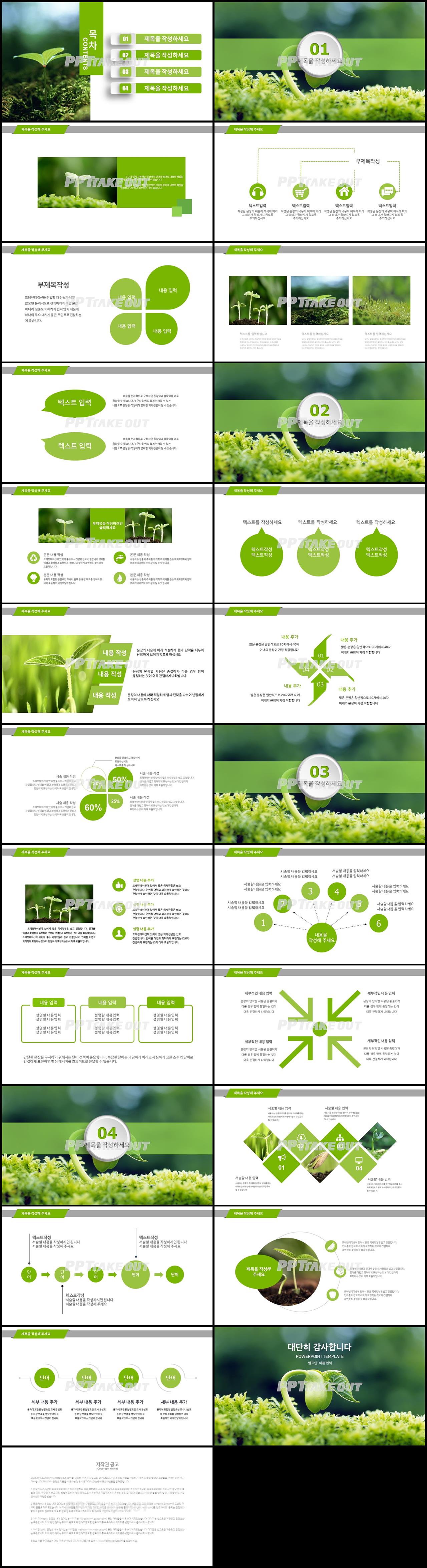 꽃과 동식물 주제 녹색 단아한 발표용 파워포인트테마 다운 상세보기