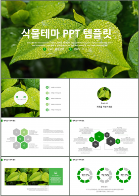 동식물, 애완동물 초록색 아담한 마음을 사로잡는 PPT테마 다운