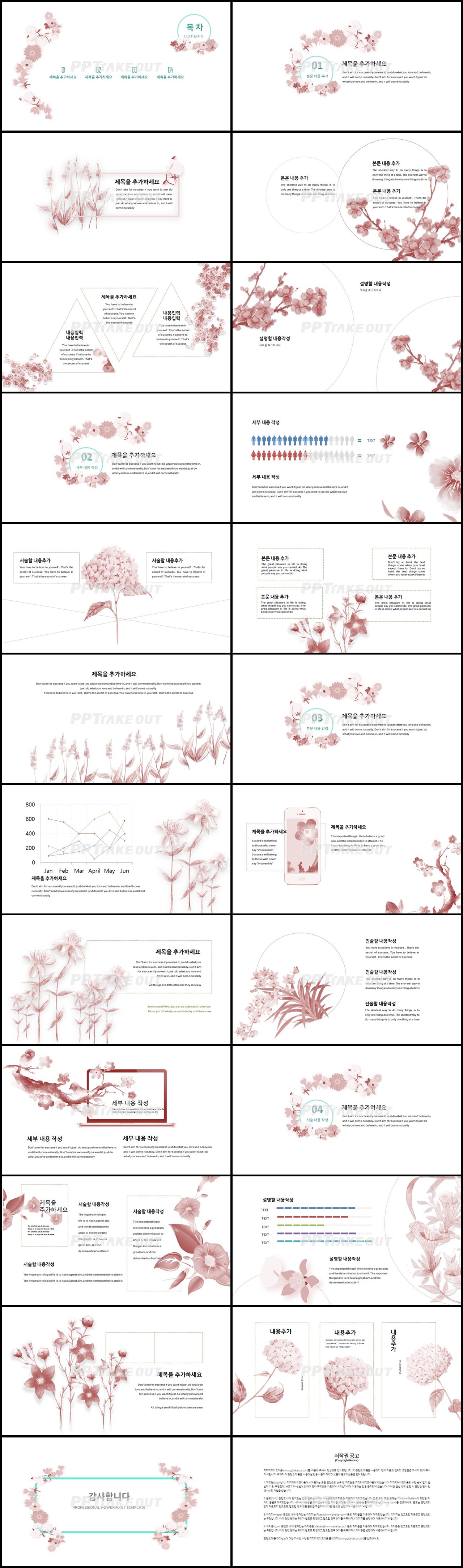 화초, 동식물 핑크색 아담한 맞춤형 PPT탬플릿 다운로드 상세보기