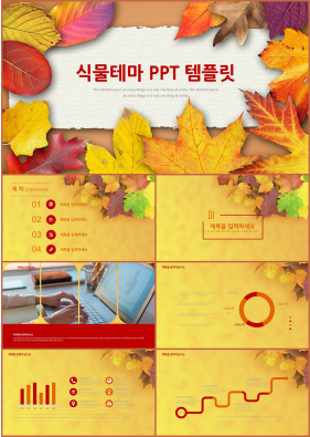 꽃과 동식물 주제 오렌지색 자재화 다양한 주제에 어울리는 POWERPOINT서식 디자인