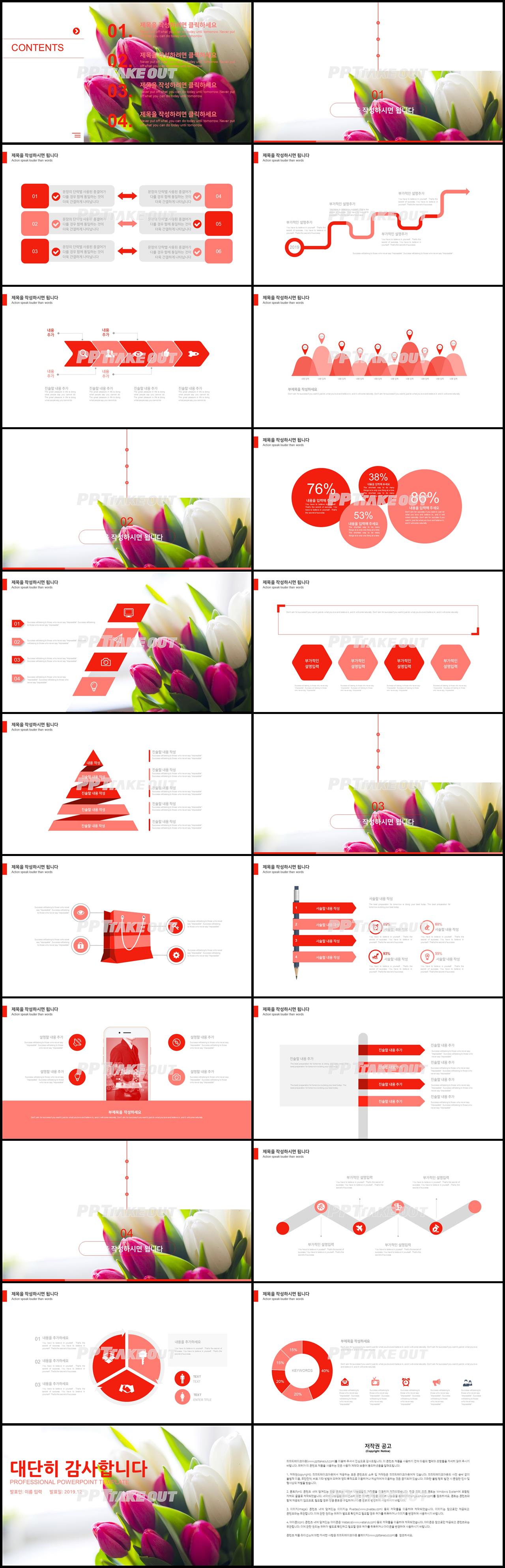 꽃과 동식물 주제 붉은색 깜찍한 매력적인 피피티테마 제작 상세보기