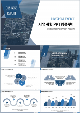 사업제안 청색 화려한 마음을 사로잡는 피피티탬플릿 다운